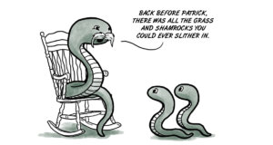 Snakes to green beer: St. Patrick’s Day makes no sense St. Patrick's Day makes no sense