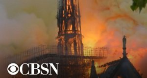 ‘Gargoyles of Notre Dame protect beyond flame’