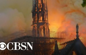 ‘Gargoyles of Notre Dame protect beyond flame’
