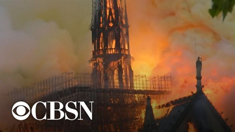 ‘Gargoyles of Notre Dame protect beyond flame’