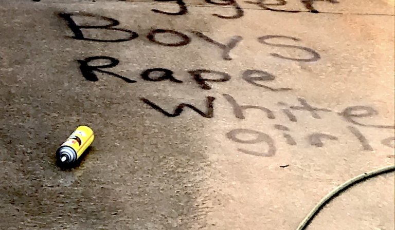 People ‘disgusted’ with racist vandalism across Norman
