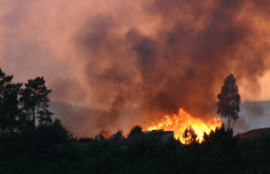 Federal disaster relief bill signed into law disaster relief