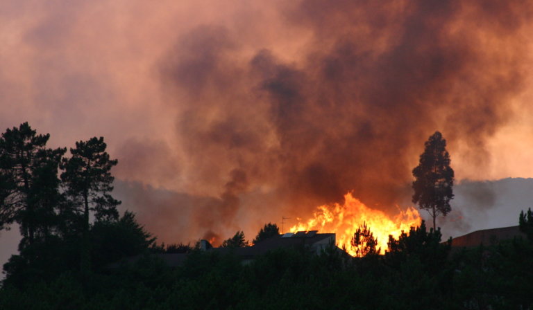 Federal disaster relief bill signed into law