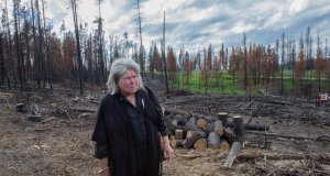 Without federal aid, states help themselves States