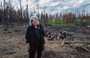 Without federal aid, states help themselves States
