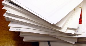 The first rule of bureaucratic behavior The first rule of bureaucratic behavior