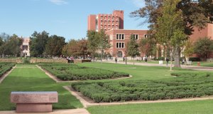 Many factors: International student enrollment down at American universities international student enrollment