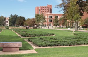 Many factors: International student enrollment down at American universities international student enrollment