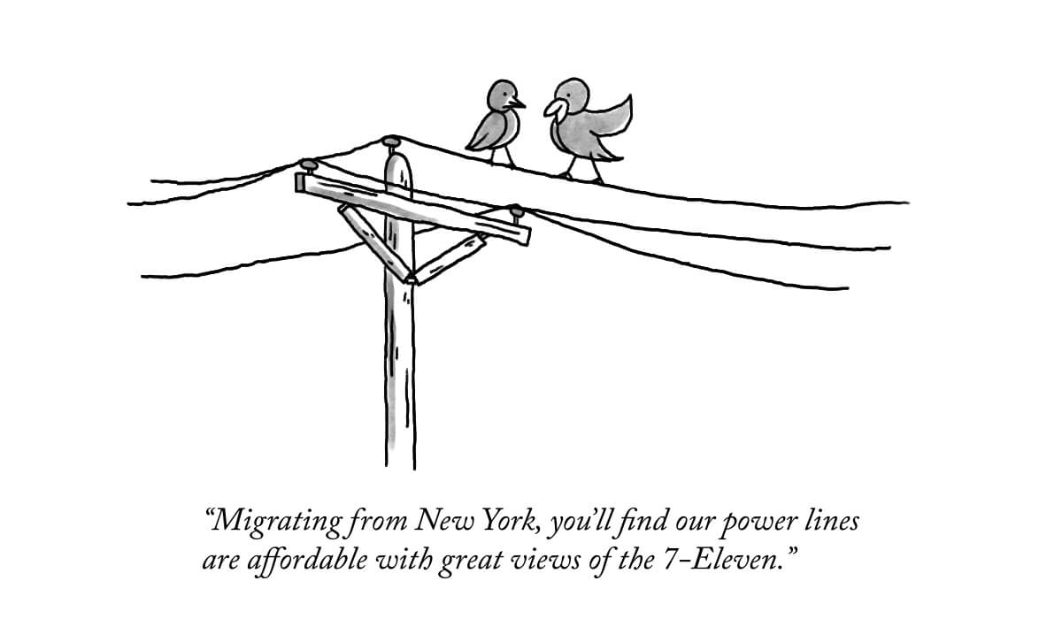 New Yorker homage: Birds of a feather draw together