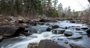 Caring for the environment can help you get through the pandemic caring for the environment