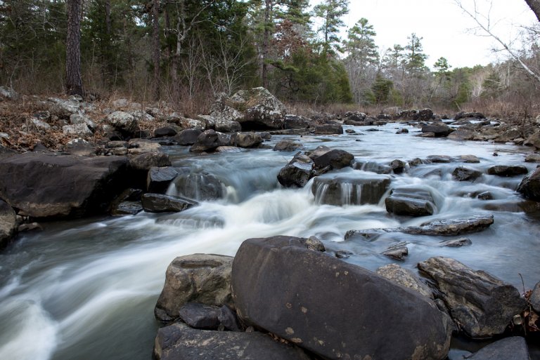 Caring for the environment can help you get through the pandemic
