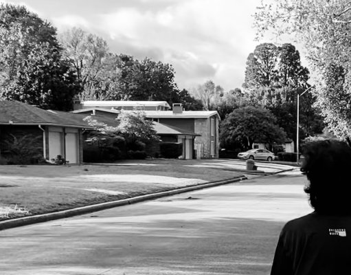 ‘Gray days are the hardest’: a pandemic diary gray days