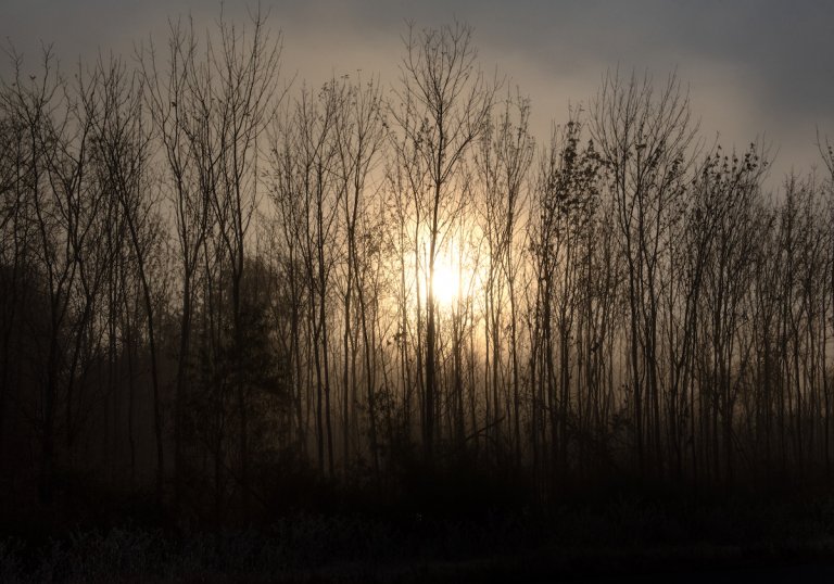 ‘We must act’: Earth Day in the time of pandemic