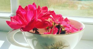 Parenting in the pandemic: It’s a lot, you know? flowers, parenting in the pandemic