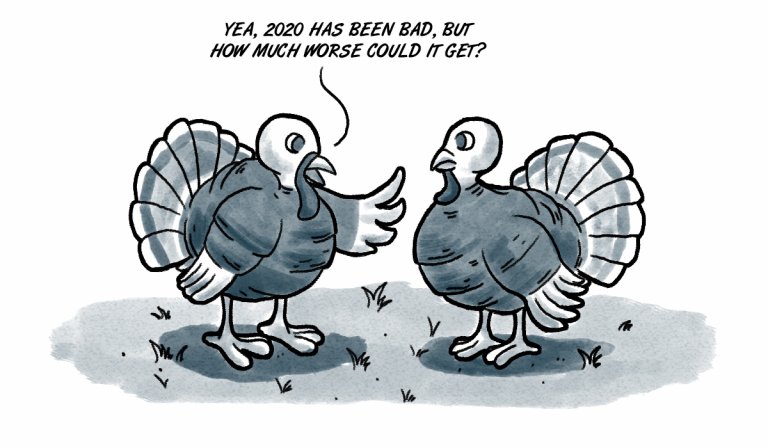 Thanksgiving 2020 should be all about perspective