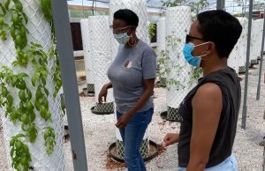 Stopgap solutions buffer northeast OKC food desert food desert