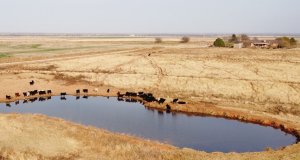 Oklahoma farmers relieved after water rule upheld Oklahoma farmers