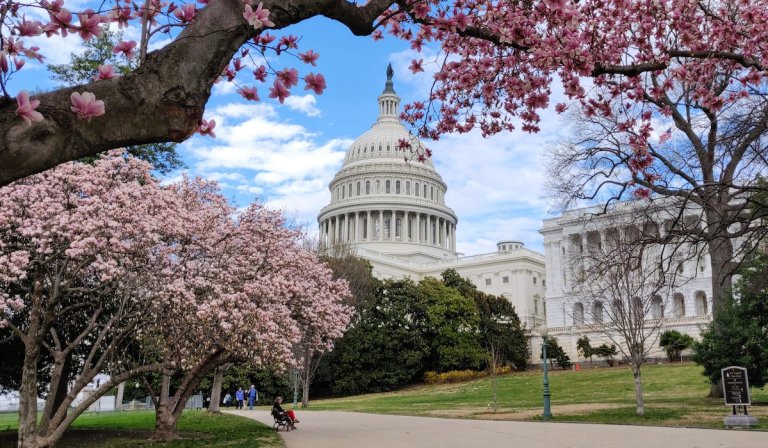 Students need more than a citizenship test to prepare for civic engagement
