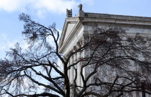 Follow through on SQ 781 by funding treatment and rehabilitation services SQ 781