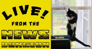 NonDoc Petcast: Cats, dogs and where they come from Petcast