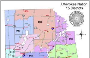 Cherokee Nation Tribal Council election results: 41-year educator beats former speaker Cherokee Nation Tribal Council election