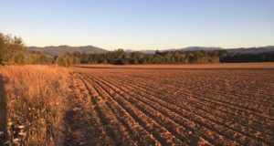 Chickasaw citizen and Oklahoman Janie Simms Hipp named to key USDA post U.S. Department of Agriculture