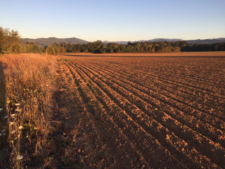 Chickasaw citizen and Oklahoman Janie Simms Hipp named to key USDA post