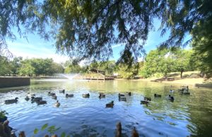 Park it: Edmond voters approve sales tax, land purchase Edmond voters, Hafer Park