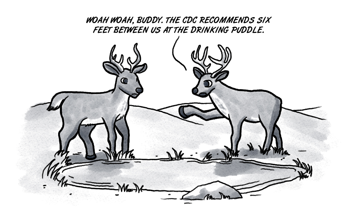 Gaining function: Hunters hear of COVID-19 in deer