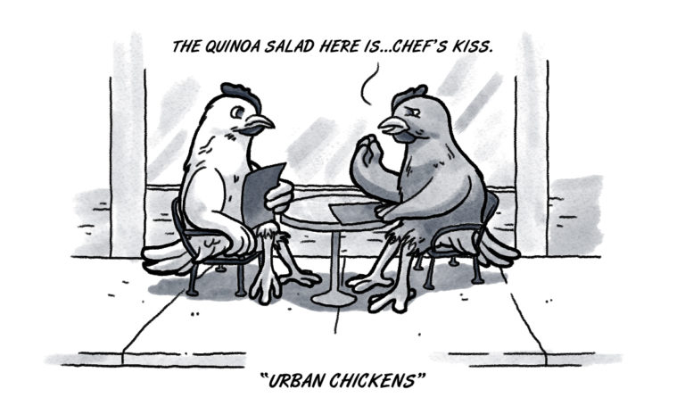 Urban OKC chickens ready to live their best lives