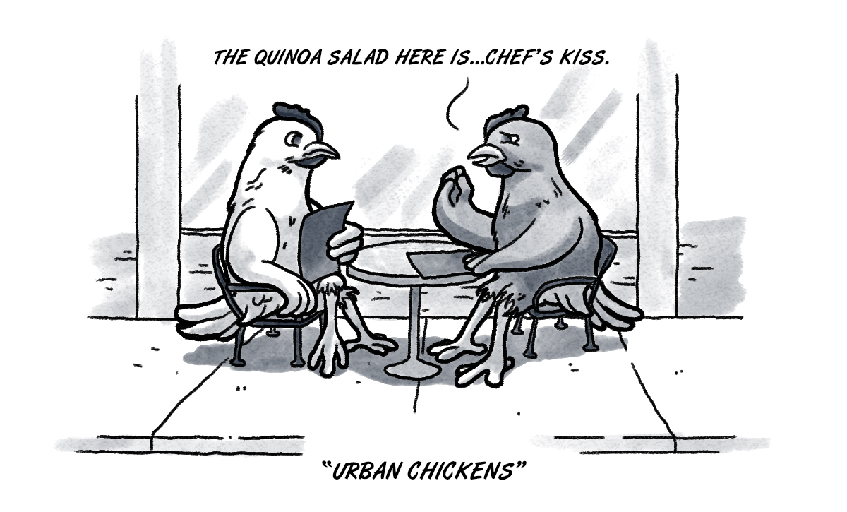 Urban OKC chickens ready to live their best lives