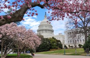 Double Senate races: Inhofe retirement draws a crowd Senate races
