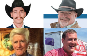 Rural affairs on display in open Senate District 4 race Senate District 4