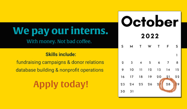 Apply for NonDoc’s spring 2023 nonprofit internship