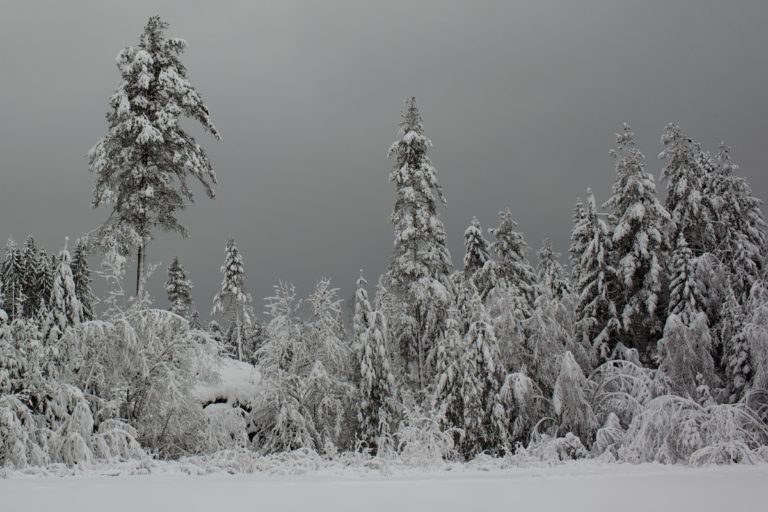 Seasonal affective disorder is real, and there are ways to fight it