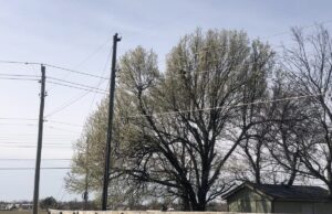 Elections: Norman narrowly tells OG&E nay, Wagoner County stomps 8 sales tax votes Norman voters tell OG&E nay