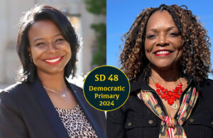 In open Senate District 48, Nice offers new blood as Johnson seeks old seat Senate District 48