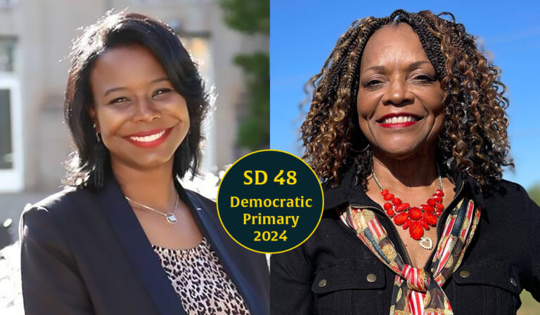 In open Senate District 48, Nice offers new blood as Johnson seeks old seat