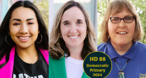 Cheat sheet: 3 seek House District 88 Democratic nod to succeed Rep. Mauree Turner House District 88