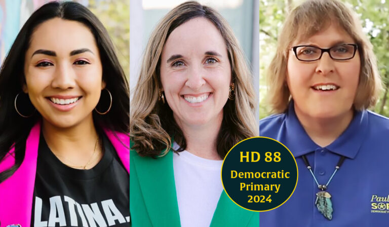 Cheat sheet: 3 seek House District 88 Democratic nod to succeed Rep. Mauree Turner