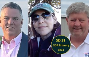 Kidd departure opens Senate District 31 in SWOK Senate District 31