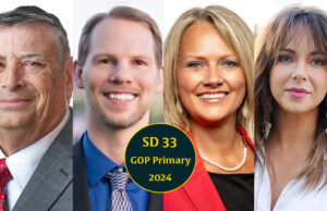Cheat sheet: 4 seek Senate District 33 GOP nod in hopes to succeed Sen. Nathan Dahm Senate District 33