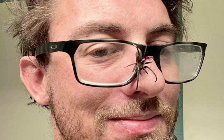 Cleared of bomb charge, Edmond spider breeder pleads guilty to cultivating mushrooms