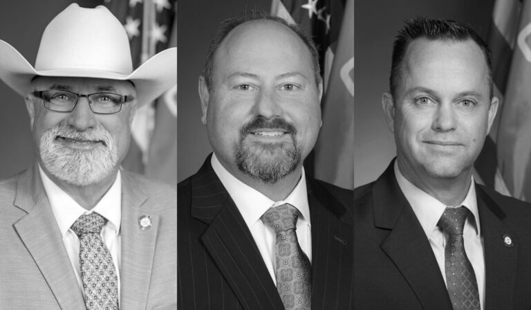 Voters sink Stephens, wash out Wallace, dump Davis