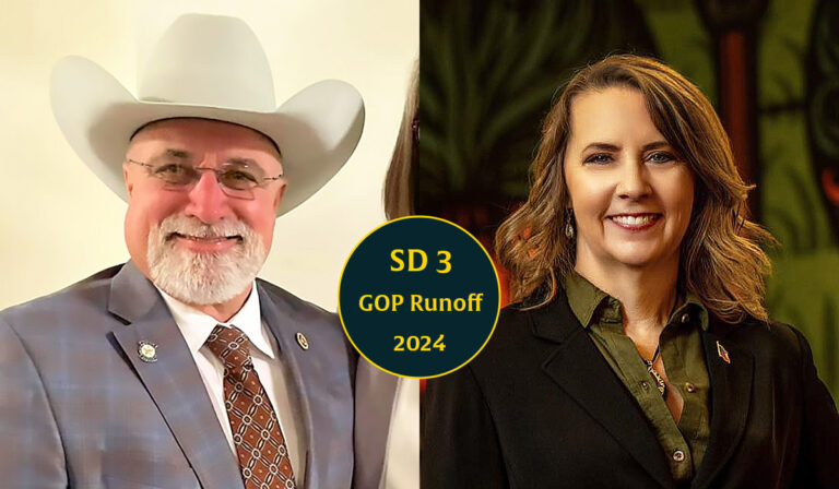Senate District 3 runoff: ‘Lot of lies’ as Stephens, McIntosh compete for shifted seat