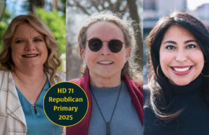 Cheat sheet: In a special election, 3 Republican women vie for chance to flip House District 71 House District 71 GOP primary