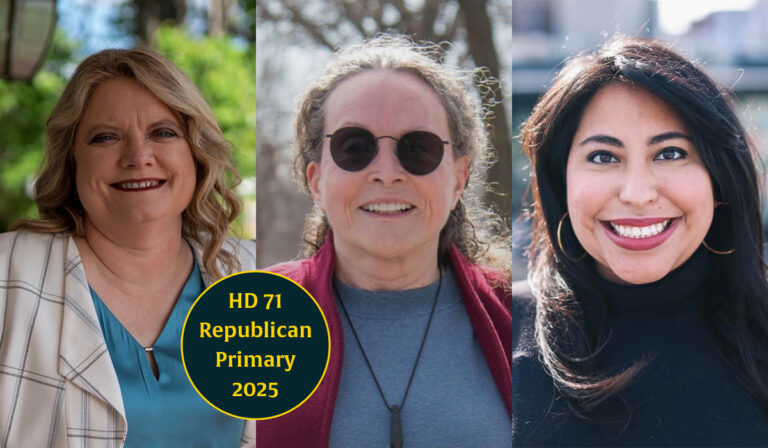 Cheat sheet: In a special election, 3 Republican women vie for chance to flip House District 71