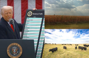 With tariffs all the talk, new policy could hurt farmers tariffs