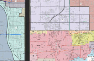 Logan tops Nelson in SD 8; HD 71, HD 74 to GOP runoffs #okleg SD 8 HD 71 HD 74