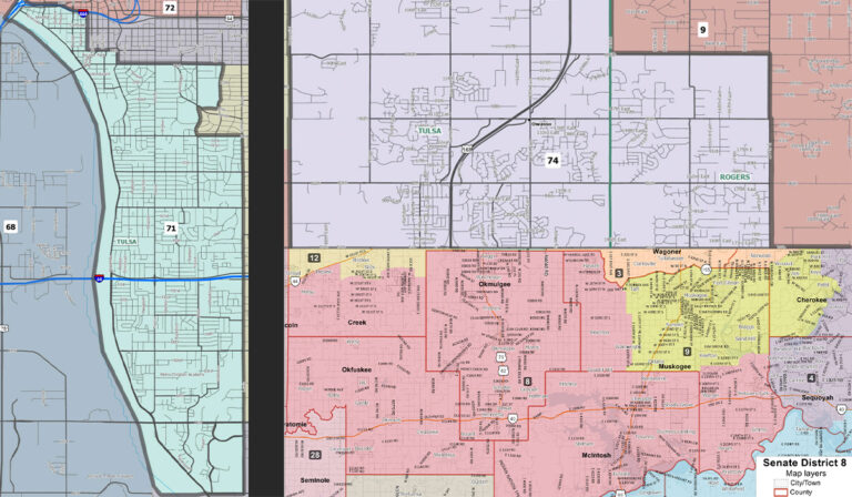 Logan tops Nelson in SD 8; HD 71, HD 74 to GOP runoffs